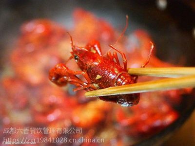 小龍蝦底料批發,麻辣小龍蝦底料廠家